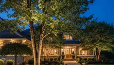 Uplighted trees with professional landscape lighting in Indianapolis, IN enhancing nighttime curb appeal